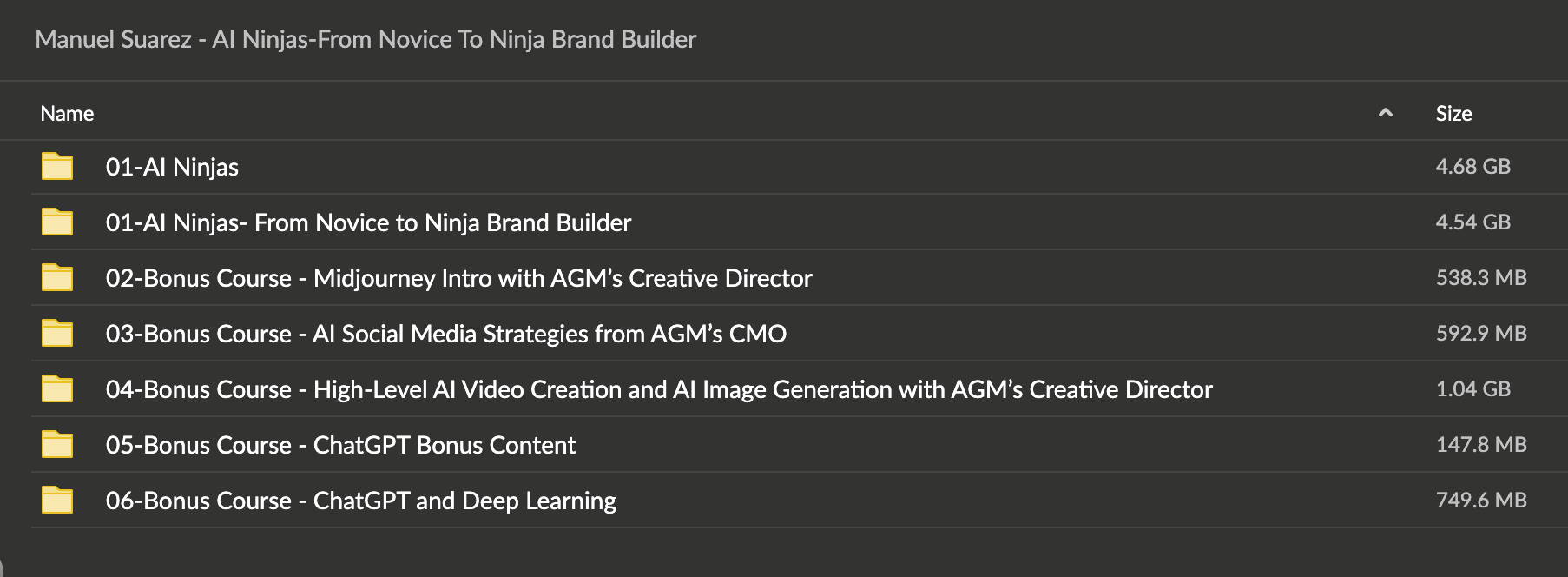 Manuel Suarez – AI Ninjas-From Novice To Ninja Brand Builder